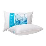 Canadian Down & Feather Co. - Soft Support White Goose Down Pillow Standard Size - 260 TC Shell 100% Cotton - Filled in Canada