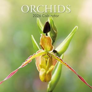 The Gifted Stationary 2026 Square Wall Calendar, Orchids, 16-Month Floral Theme with 180 Reminder Stickers (12x12 In)