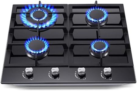 Gas Stove