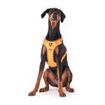 Heads Up For Tails Active Pet Dog Harness - Orange (L)|Premium No-Pull Adjustable Dog Harness For Small Dogs,Medium Dogs,And Puppies|Breathable,Strong & Durable Harness With Leash