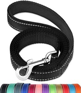 FunTags 6FT Reflective Dog Leash with Soft Padded Handle for Training,Walking Lead for Large & Medium Dog,1 Inch Wide,Black