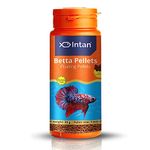 Intan - Betta Pellets - All Life Stages, Fish, 55 G