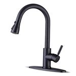 Kitchen Faucet With Sprayer Oils