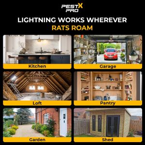 Pest X Pro Rat Traps 4-Pack – Heavy Duty Rodent Control