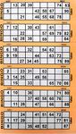 YLAB - Bingo Tickets 1 to 90, 600 Tickets, 100 Pages, 6 Per Page (Orange)