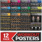 [12-PACK] Laminated Large Workout Poster Set - Perfect Workout Posters for Home Gym - Exercise Charts Incl. Dumbbell, Yoga Poses, Resistance Band, Kettlebell, Stretching & More Fitness Gym Posters