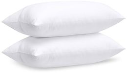 Utopia Bedding Cushion Inner Pads (Pack of 2), 50 x 70 cm (20" x 28") Cushion Stuffer Inserts, Hollowfibre Pillows (White)