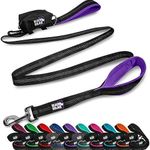 Black Rhino Dog Leash - Heavy Duty 