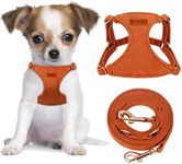 CHEDE No Pull Puppy Harness and Mul