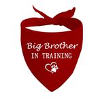 JXGZSO 1 Piece Big Sister/Brother in Training Dog Bandana Dog Pregnancy Announcement Gift (Big Brother D CA)