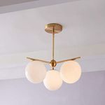 REGAL SURVEY 3 Holder AC Brass Antique Sphere Frosted Chandelier