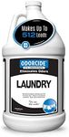 Odorcide – 1 Gallon Concentrated Laundry Odor Eliminator for Strong Odor, All Laundry Uses – Safe, Non-Enzymatic Odor Neutralizer – Laundry Odor Remover for Smoke, Sweat & Pet Odors (1 Gal)