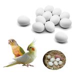 FOIBURELY 12 Pcs Solid Parrot Dummy Eggs Hatching Eggs Green Cheek, Lorikeet&Ringneck Dove, Quaker, Cockatiel. Trick The Birds to Stop Laying Eggs, Dummy Eggs