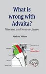 What Is Wrong with Advaita?