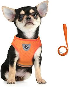 FEimaX Dog Harness and Leash Set, No Pull Soft Mesh Pet Harness for Walking Escape Proof Small Cat Step-in Adjustable Vest with Reflective Strip Fit Puppy Kitten Rabbit