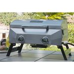 nexgrill Portable Stainless Steel Gas Grill