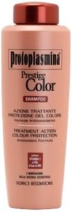 Protoplasmina Color Shampoo 1000ml Azione Antiossidante Capelli Nutriti e Luminosi Lunga durata del Colore