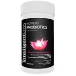 Intelligent Labs Women's 6 Billion CFU Probiotics With Crantiva Cranberry Extract and D-Mannose Powder, 60 Veg Capsules, Take 2 a Day For Urinary Tract Infections