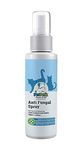 Antifungal For Cats