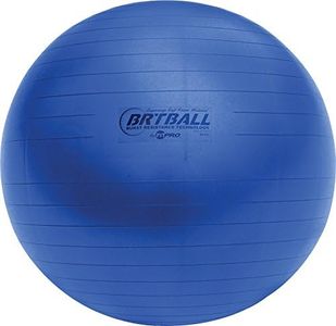 Champion Sports Blue Training/Exercise Ball, Royal Blue (BRT42), 42 Cm