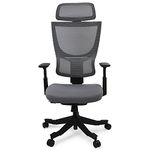 FLEXISPOT BS8 Ergonomic Office Chair, Mesh Desk Chair with 9 Level Adjustable Backrest, Lift Armrest, Lumbar Support, Task Back Support Computer Chair for Office Home