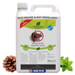 Peppermint Oil Mouse Rat Repellent Big Value 5L Refill Stop Mice Rats Entering Getting Under Door in Garden On Bird Feeder Climbing Rodent Natural Cedarwood Peppermint
