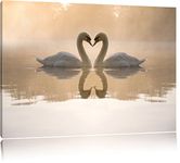 Pixxprint White swans in love at dawn canvas,huge Pictures completely framed with stretcher, Art print on wall picture with frame, size: 100x70 cm