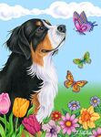 Bernese Mountain Dog - Best of Breed Butterfly House Flag