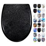 Fanmitrk Duroplast Toilet Seat Soft Close -Black Color,Quick Release Toilet Lid with Top Fixing(UF01-11)