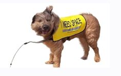 Yellow Dog UK Dog Vest - I NEED SPACE (Medium)