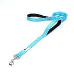 PAWZPAL 6FT Dog Leash - Ideal for Daily Use, Dual Handles, Reflective Stitching, Heavy-Duty Nylon, Comfortable Grip for Medium to Large Dogs (Baby Blue)