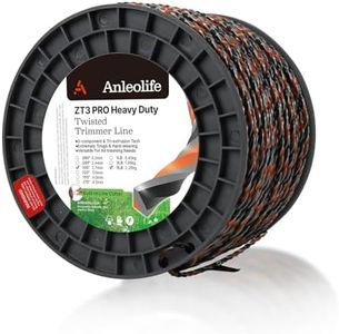A ANLEOLIF
