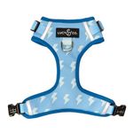 Lucy & Co. Cute No-Pull Bolt of Energy - Stop Pulling & Walk Easy - Harness Available in XS-XL for Small, Medium, and Large Dogs - Blue Green Lightning Bolt (Small)