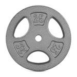 CAP Barbell 25 lb Standard Cast Iron Grip Plate – Single