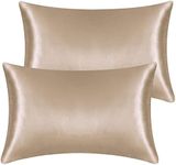 2 Pack Satin Pillowcases for Hair and Skin, Super Soft Silky Pillow Cases with Envelope Closure, Less Friction Less Wrinkles & Frizz (50 x 75cm, Champagne)