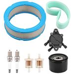 Wellsking 394018S 272490S Air Filter for Briggs & Stratton 392642 394018 271271 272490 Vanguard V-Twin 12.5-21hp Engine John D LT166 with Fuel Pump 492932S Oil Filter