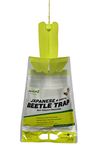 Indoor Lady Beetle Trap