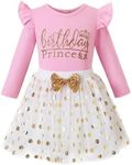 ZFZDRen Kids Toddler Girls Birthday Princess Outfits Dress Baby Girl Long Sleeve Shirt Top Mesh Tulle Tutu Skirt Set (Pink,2-3Years)