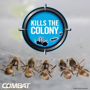 Combat Ant Killing Gel, Indoor & Outdoor Use – 27g