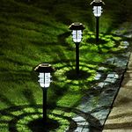 Solpex Solar Outdoor Lights, 8 Pack Solar Pathway Lights, Up to 10 Hrs Auto On/Off Garden Lights Waterproof, Solar Powered Landscape Lighting for Yard, Garden, Walkway-(Cold White)