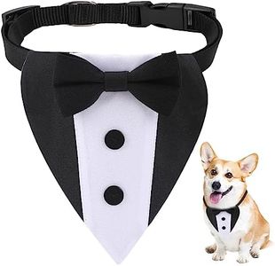 Dog Tuxedo