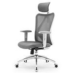 SIHOO M18 Ergonomic Office Chair, C