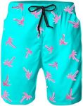 Heucapc Men's Swim Trunks Quick Dry Swimsuits Board Shorts Tropical Summer Beach Shorts with Mesh Lining and Pockets
