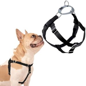 2 Hounds Design Freedom No Pull Dog Harness | Comfortable Control for Easy Walking | Adjustable Dog Harness | Small, Medium & Large Dogs | Made in USA | Solid Colors | 1" XXL Black