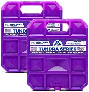 Arctic Ice Tundra Series Long Lasting Reusable Ice Pack for Coolers, Lunch Boxes, Camping, Fishing and More (2-Pack) (Large 2.5 LB)