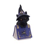 Nemesis Now Pocus Small Witches Familiar Black Cat and Spellbook Figurine, Purple, 12.7cm