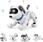 Goolsky Remote Control Robot Dog To