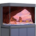 SB little Aquarium Background Sticker Decoration for 5-55 Gallon Fish Tanks, Shore Cave Rocks Beach HD 3D Reptile Habitat Poster (23.6x47.2in (60x120cm))