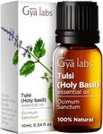 Gya Labs Holy Basil (Tulsi) Essential Oil for Aromatherapy - 100% Natural Holy Basil Essential Oil Diffuser - Holy Basil Oil Essential Oil for Candle Making - Sweet Balsamic Scent (0.34 Fl Oz)