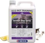KinderPet Cats‌ Kittens Scratch Sto